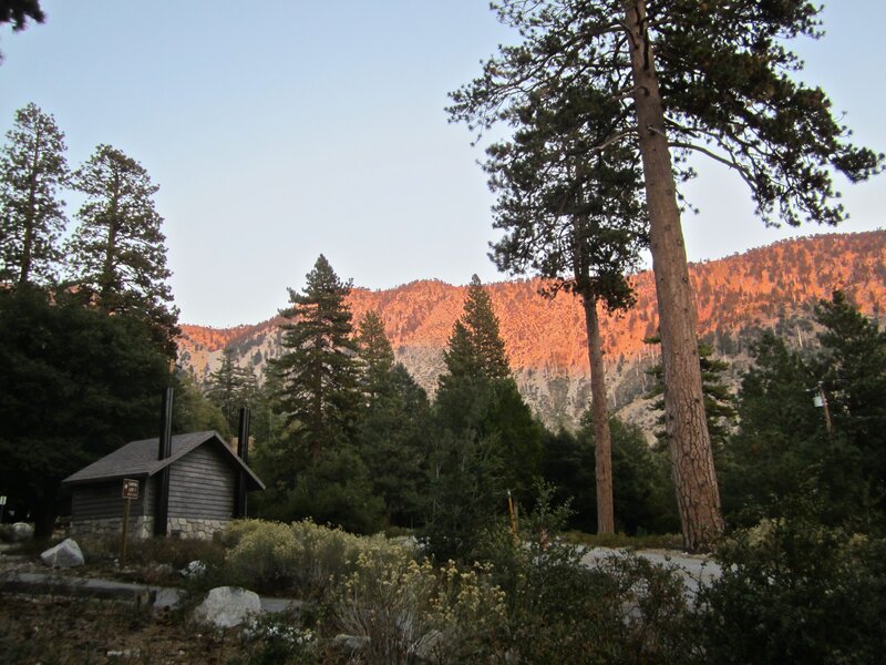 Mountain Cabin at Dusk — Green