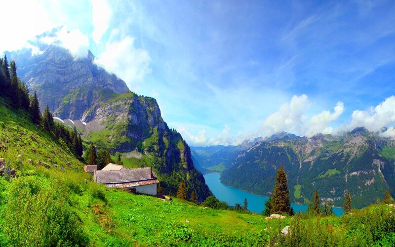 Mountain Cabin by Lake — Green