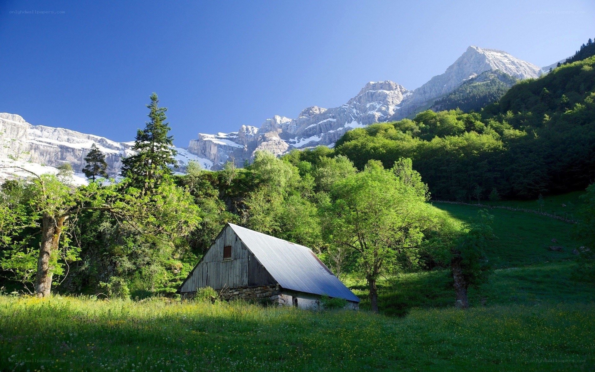 Mountain cabin in a green valley