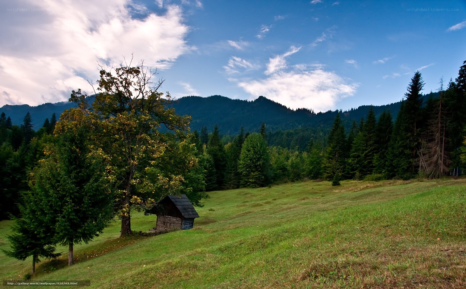 Mountain cabin in a green valley