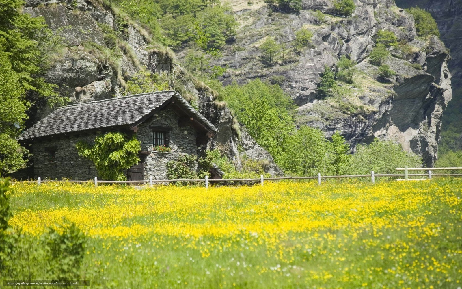 Mountain cabin in a yellow field