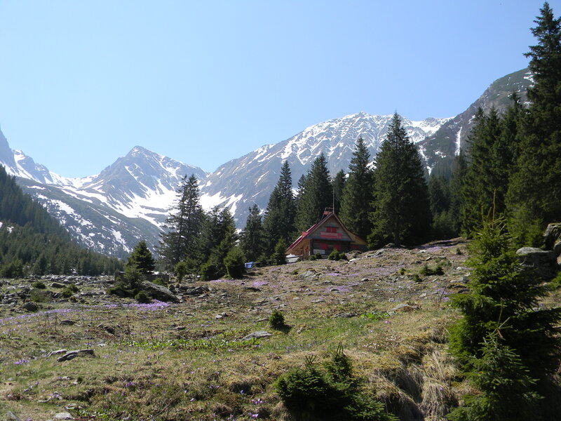 Mountain Cabin in Alpine Meadow — Blue
