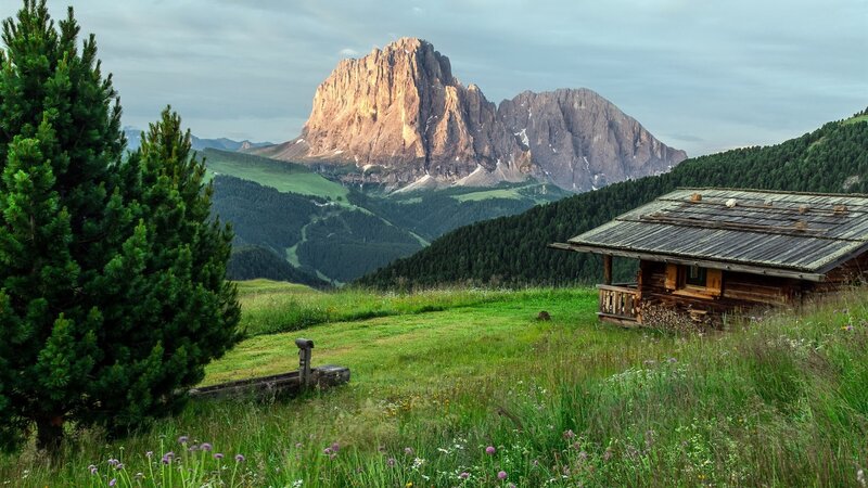 Mountain Cabin in Alpine Meadow — Green