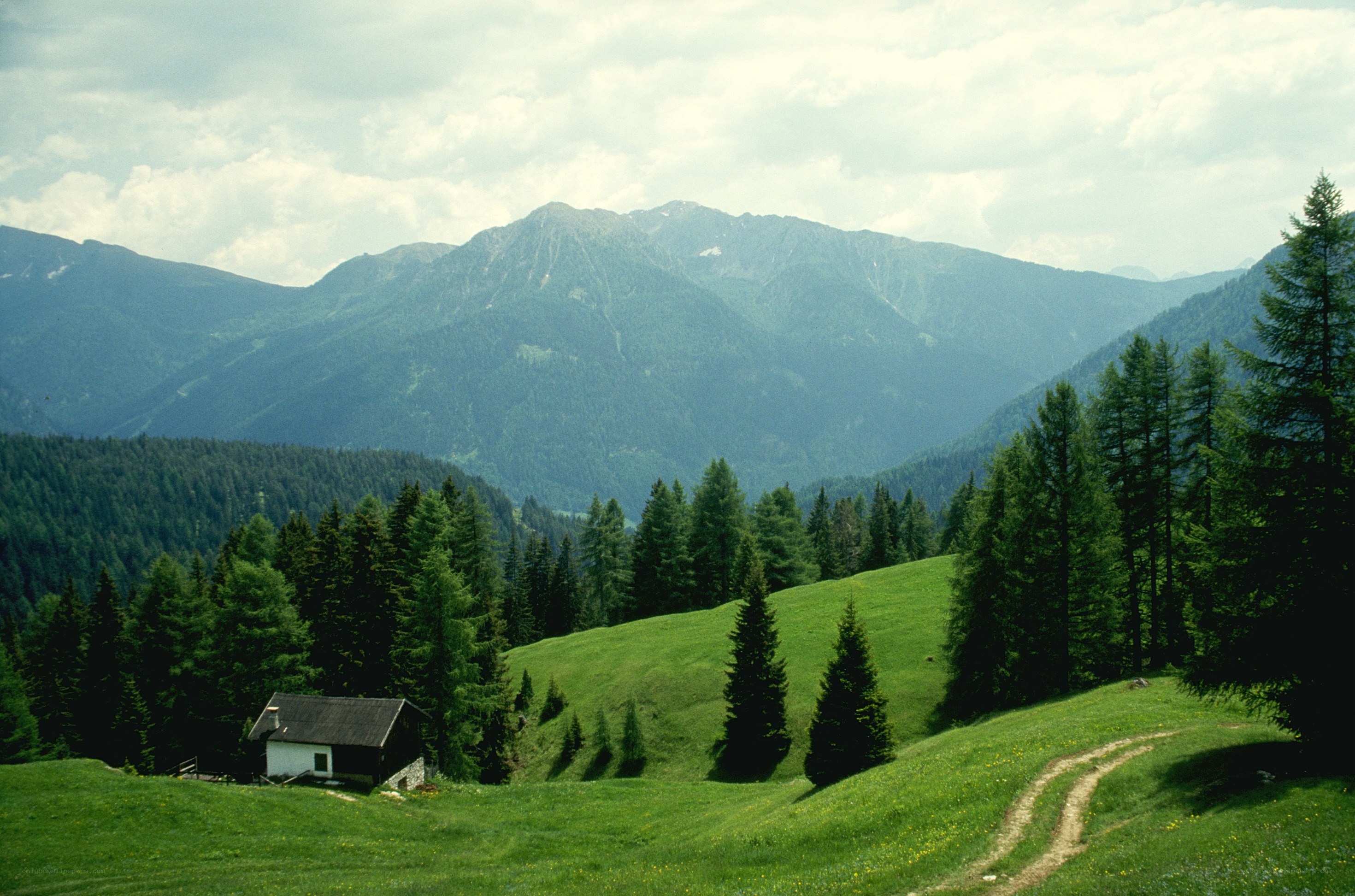 Mountain cabin in alpine valley