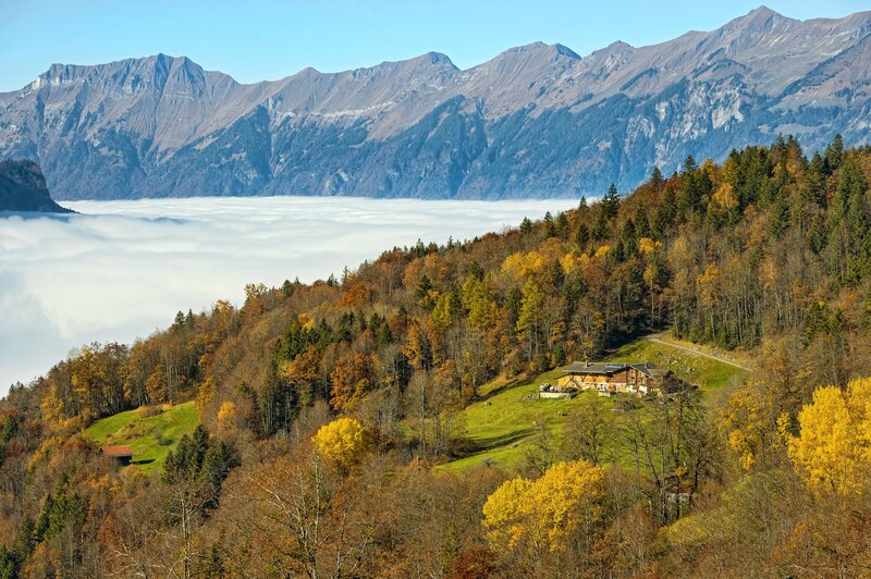 Mountain Cabin in Autumn — Green, Serene