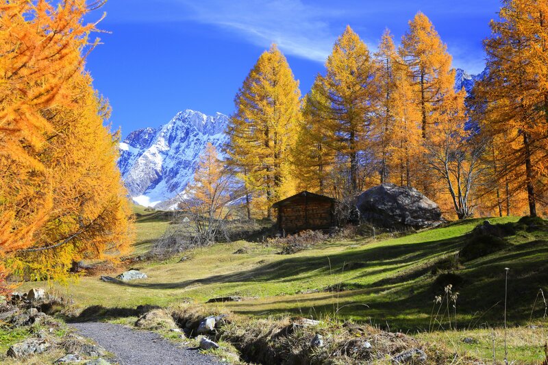 Mountain Cabin in Autumn — Orange