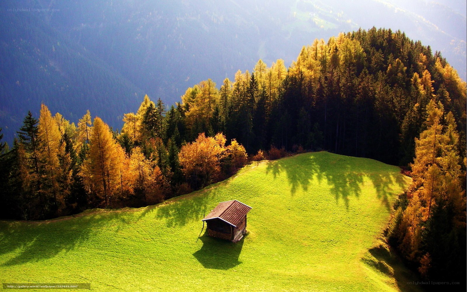 Mountain cabin in autumn valley