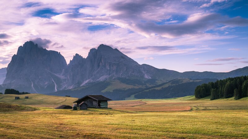 Mountain Cabin in Field — Green