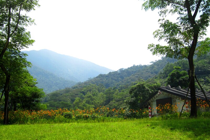 Mountain Cabin in Field