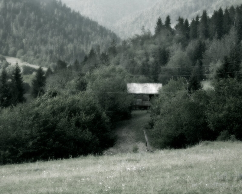 Mountain cabin in forest