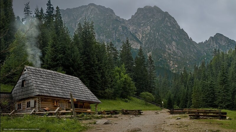 Mountain cabin in forest