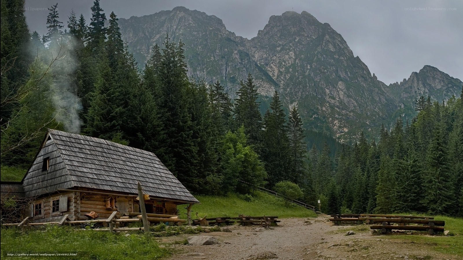 Mountain cabin in forest