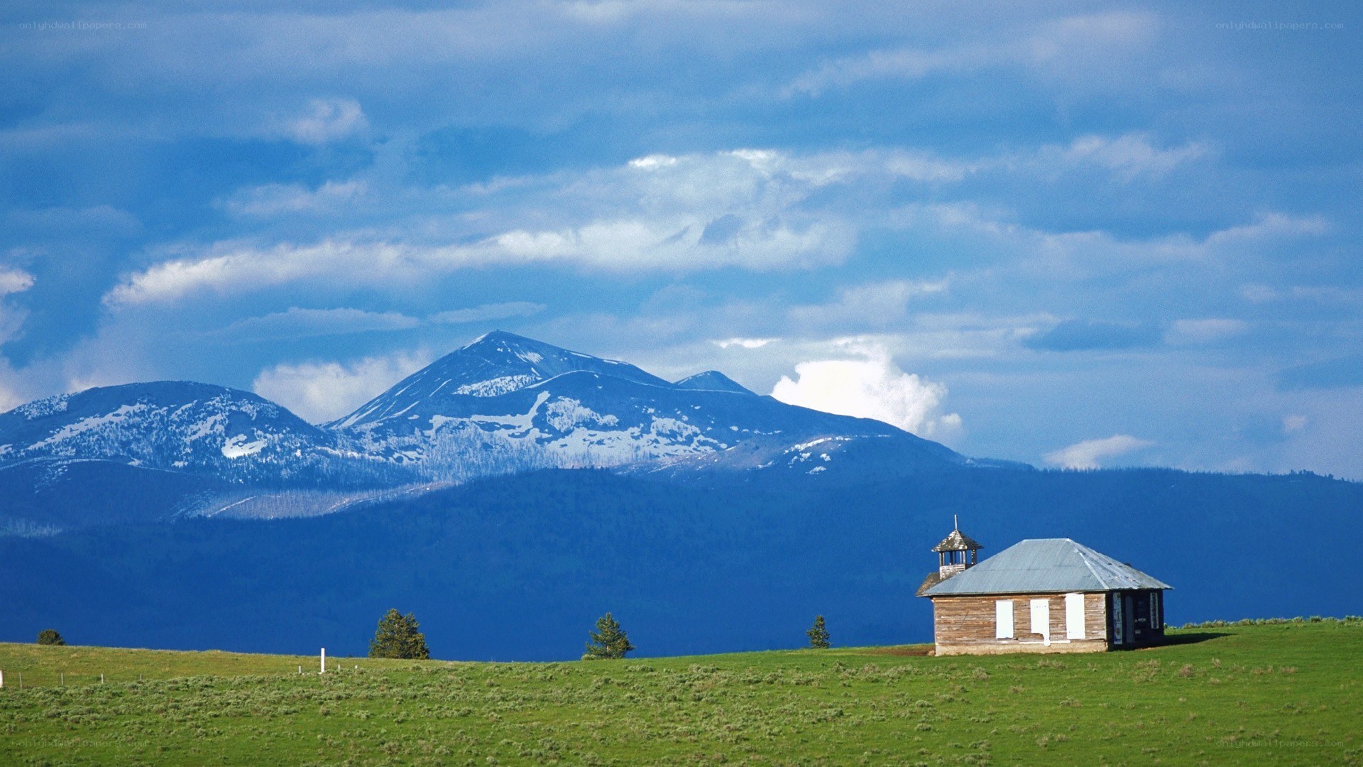 Mountain cabin in green field