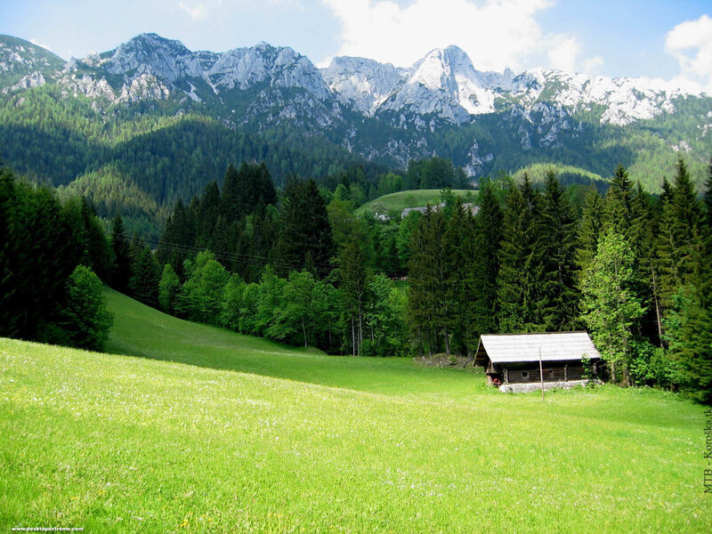 Mountain cabin in green valley