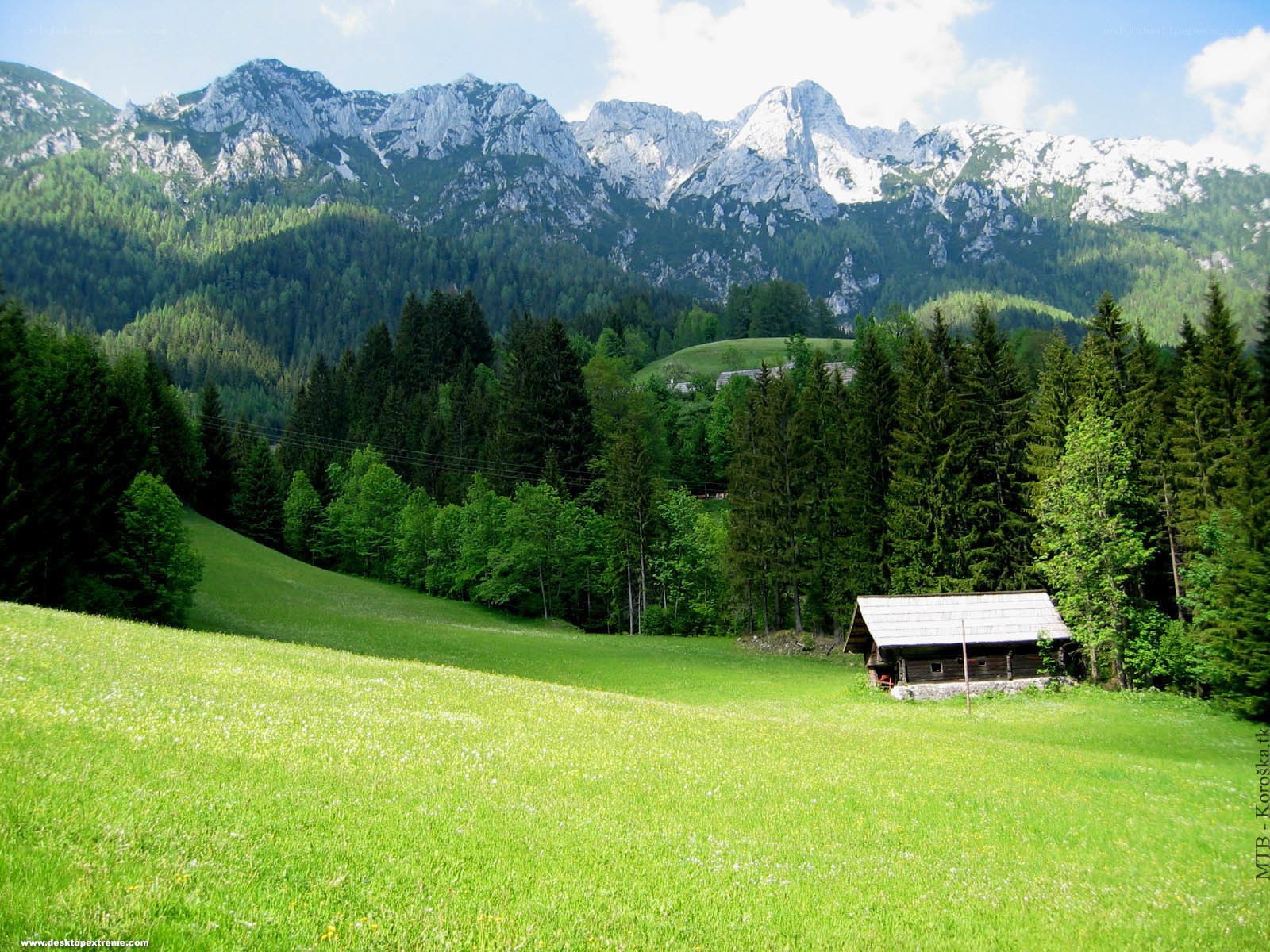 Mountain cabin in green valley