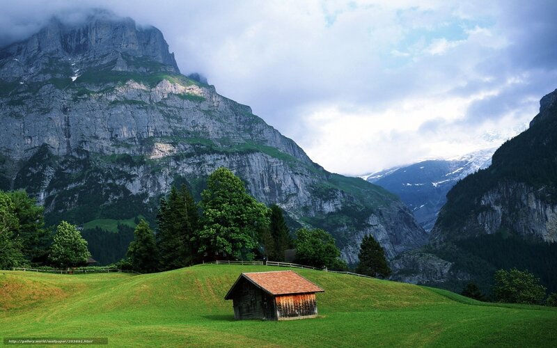 Mountain cabin in green valley