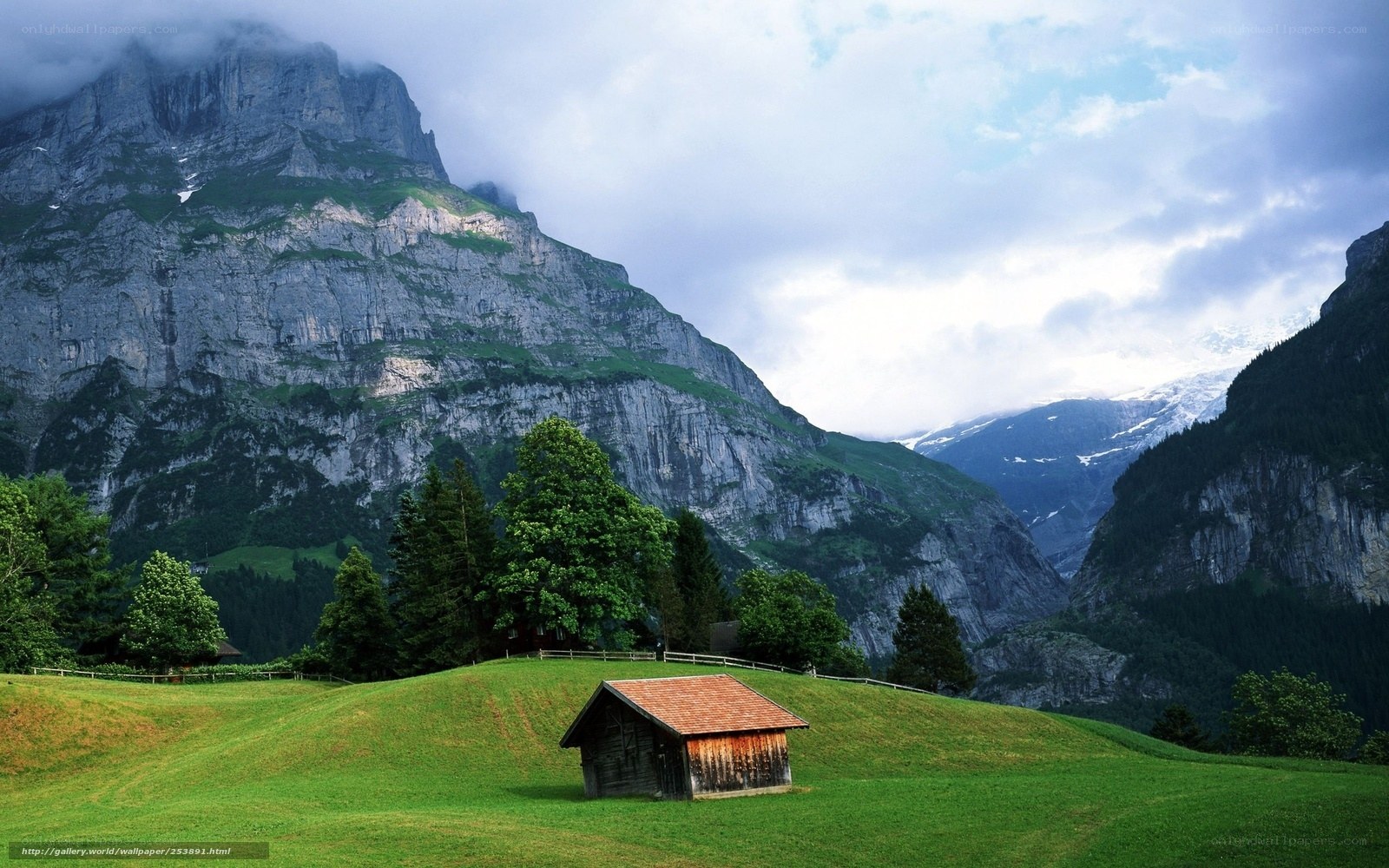 Mountain cabin in green valley