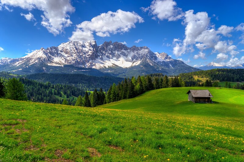 Mountain Cabin in Meadow — Blue, Serene, Afternoon