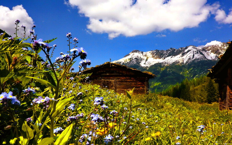 Mountain Cabin in Meadow — Blue, Serene, Summer