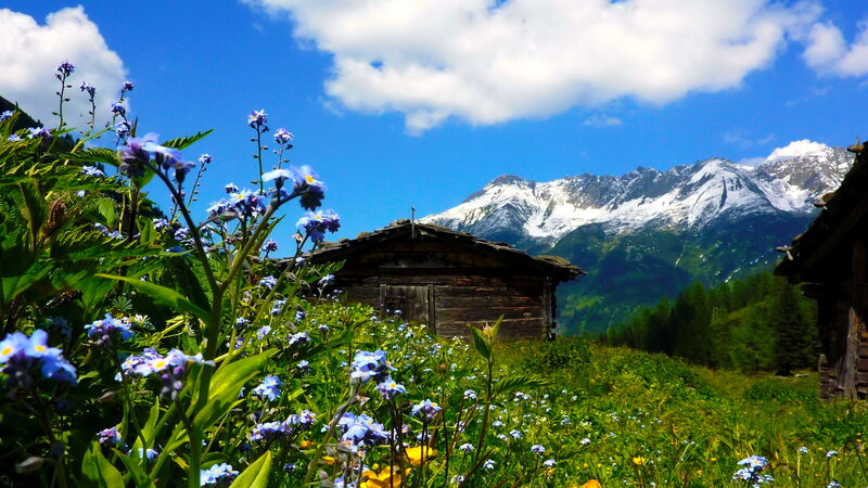 Mountain Cabin in Meadow — Blue, Serene