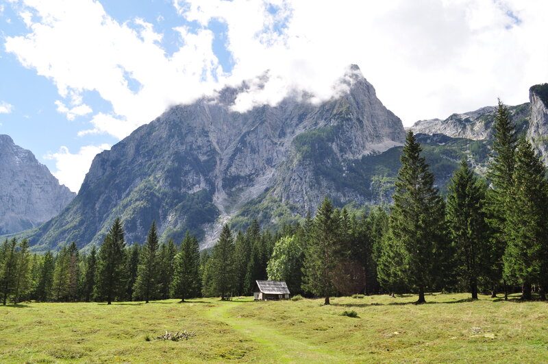 Mountain Cabin in Meadow — Green, Serene, Afternoon, Photograph