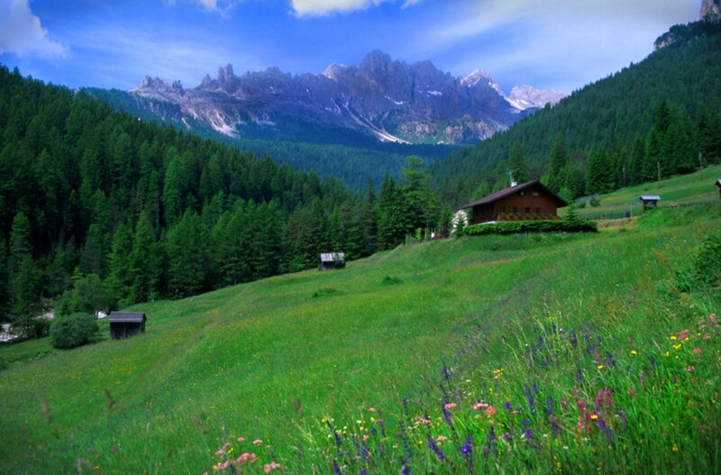 Mountain Cabin in Meadow — Green, Serene, Summer