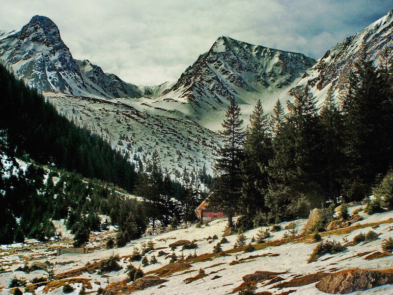 Mountain Cabin in Snow — White