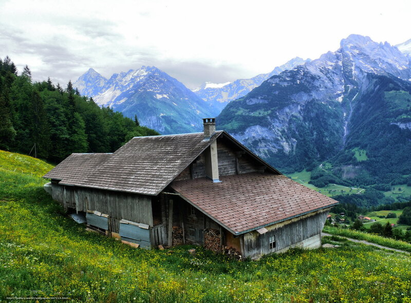 Mountain cabin with alpine view