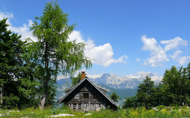 Mountain cabin with alpine view