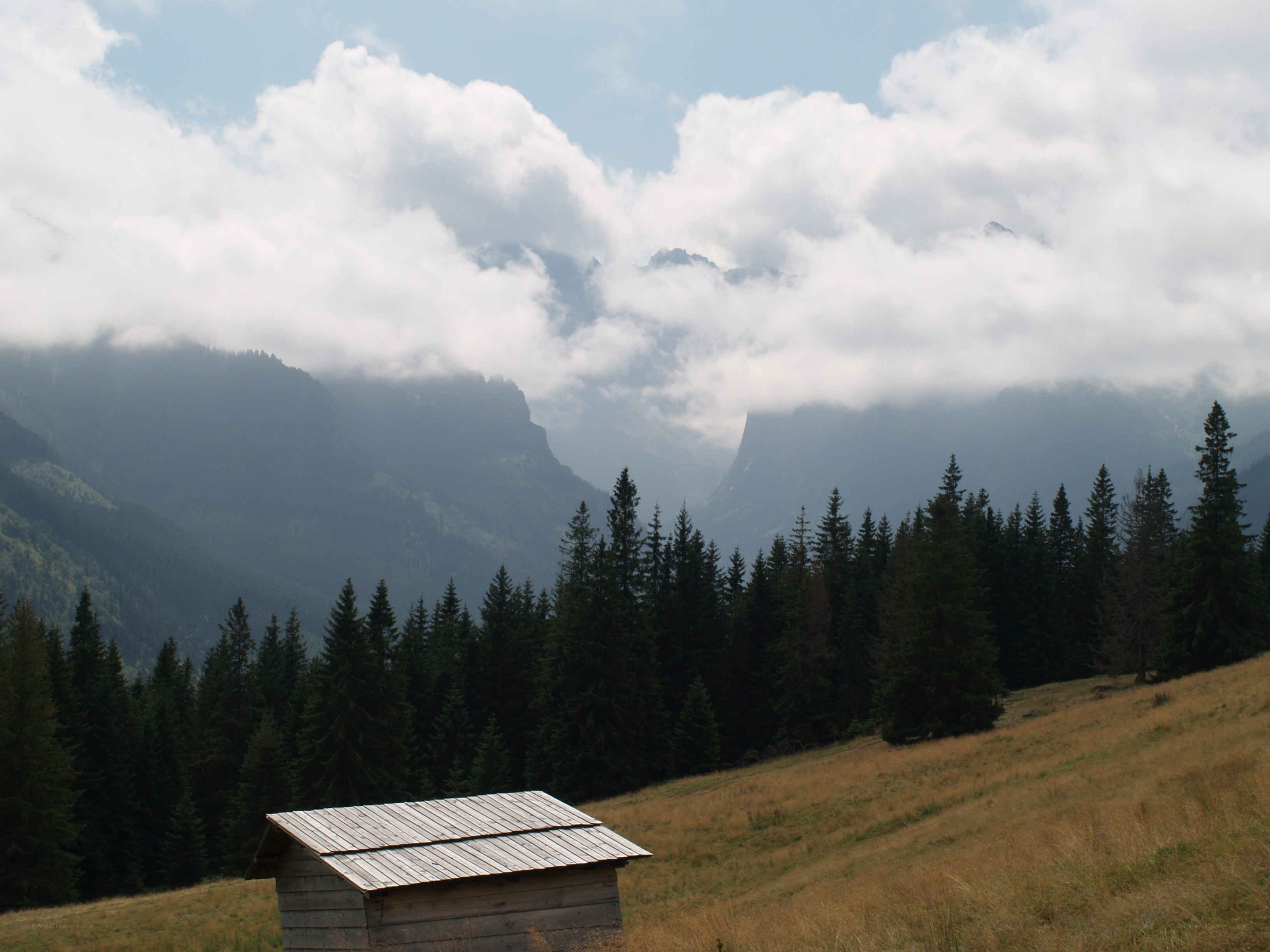 Mountain cabin with forest and peaks