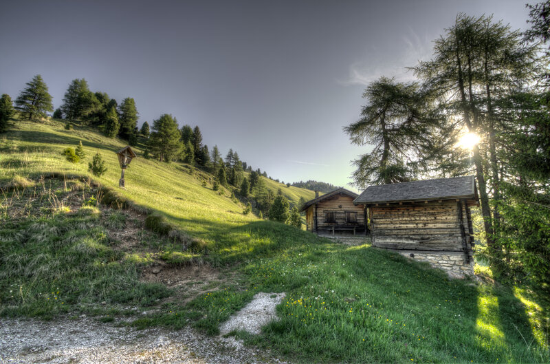 Mountain cabins in alpine meadow