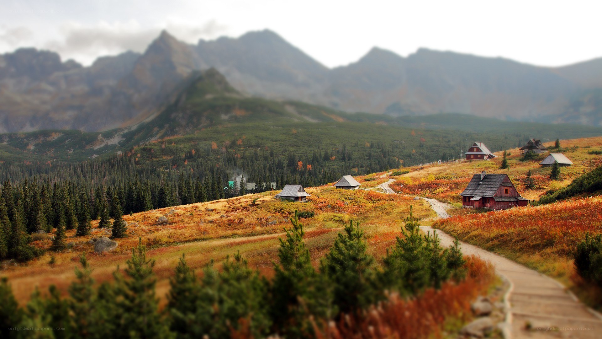 Mountain cabins in autumn