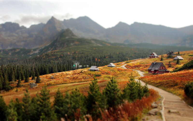 Mountain Cabins in Autumn — Green