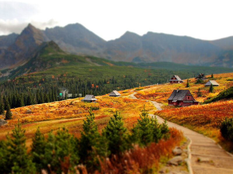 Mountain Cabins in Autumn — Orange