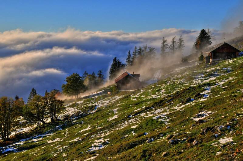 Mountain Cabins in Fog — Green