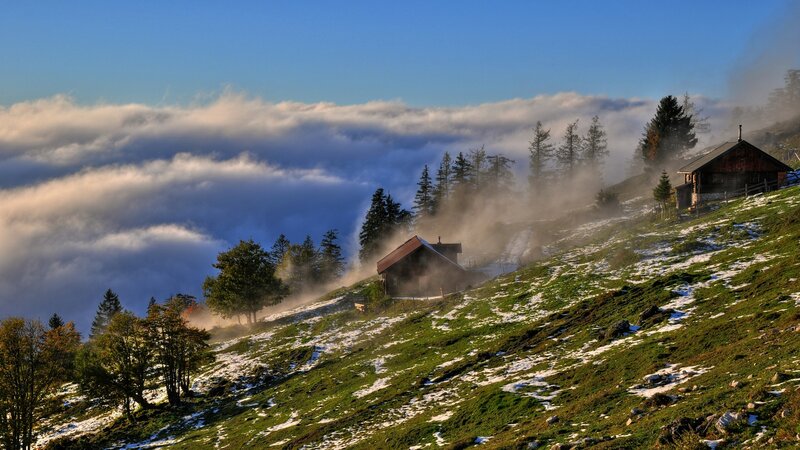 Mountain Cabins in Fog