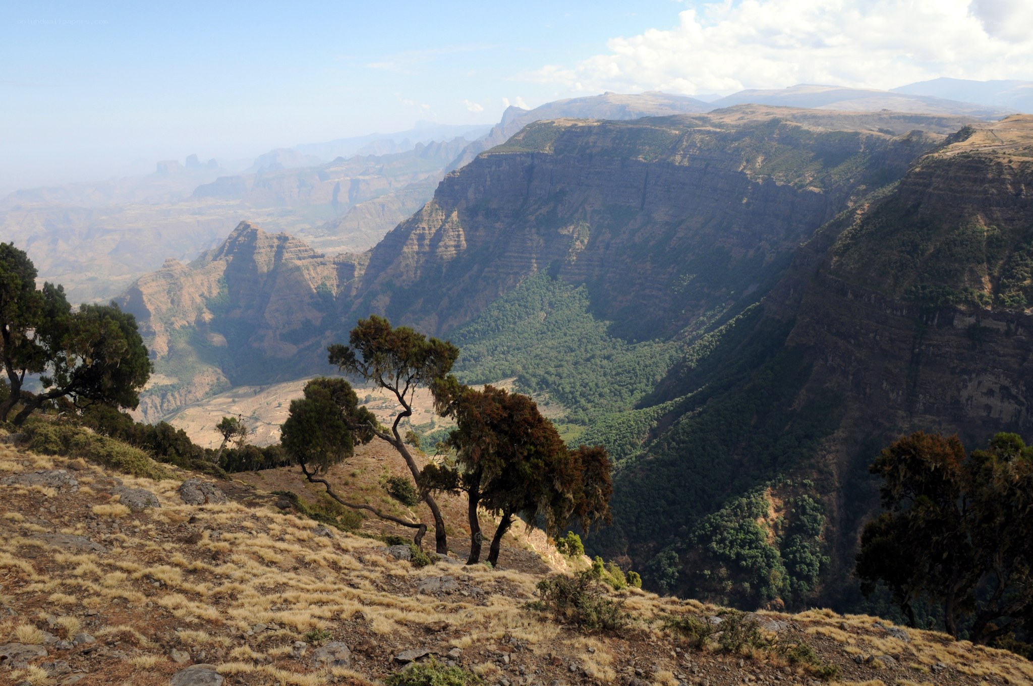 mountain canyon landscape