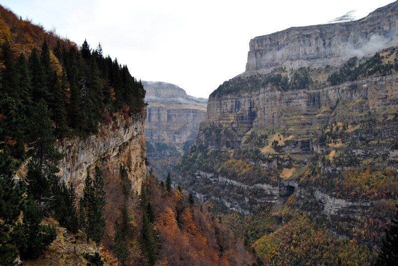Mountain canyon with autumn trees