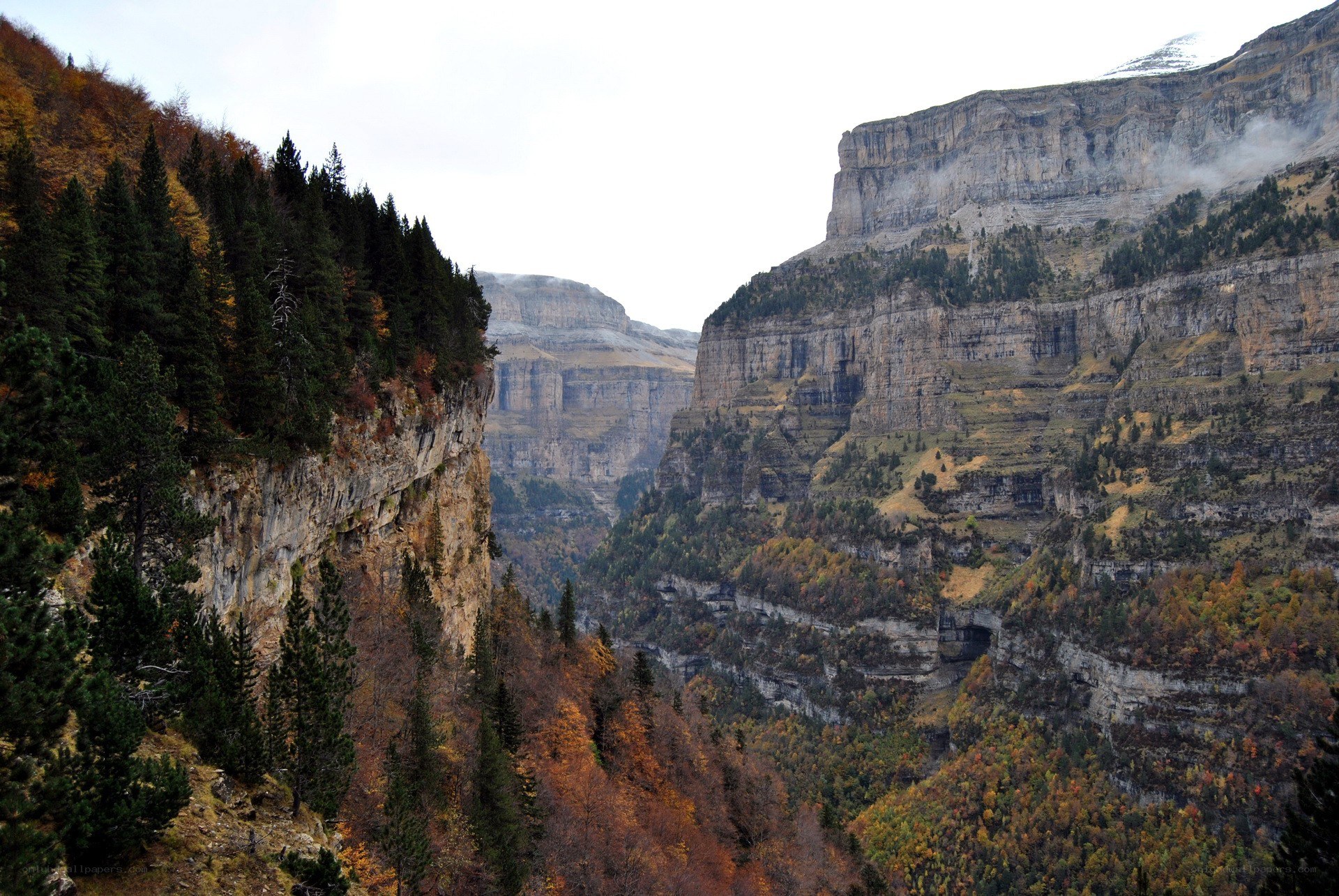 Mountain canyon with autumn trees