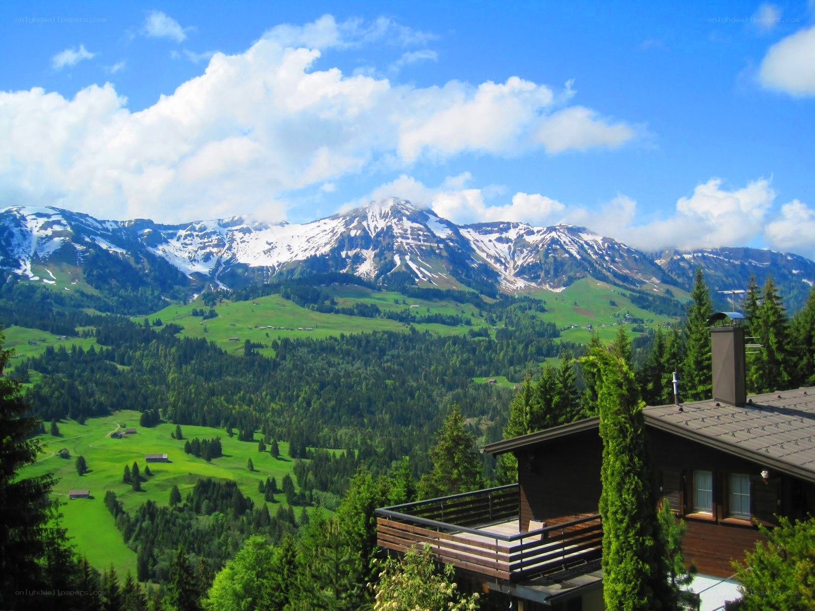 Mountain chalet with alpine view