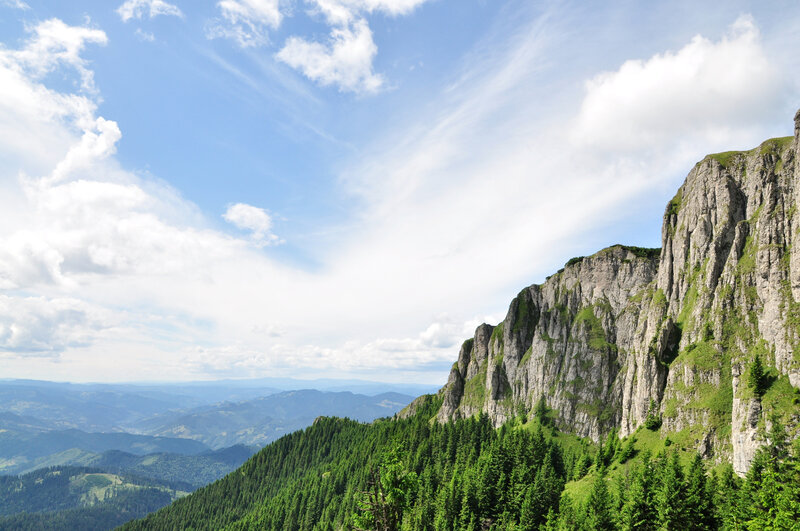Mountain Cliff and Forest