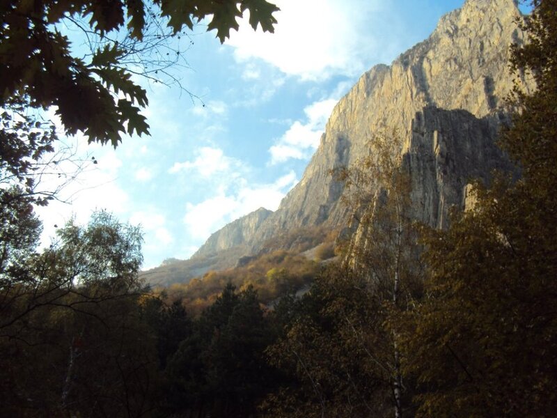 Mountain Cliff in Forest