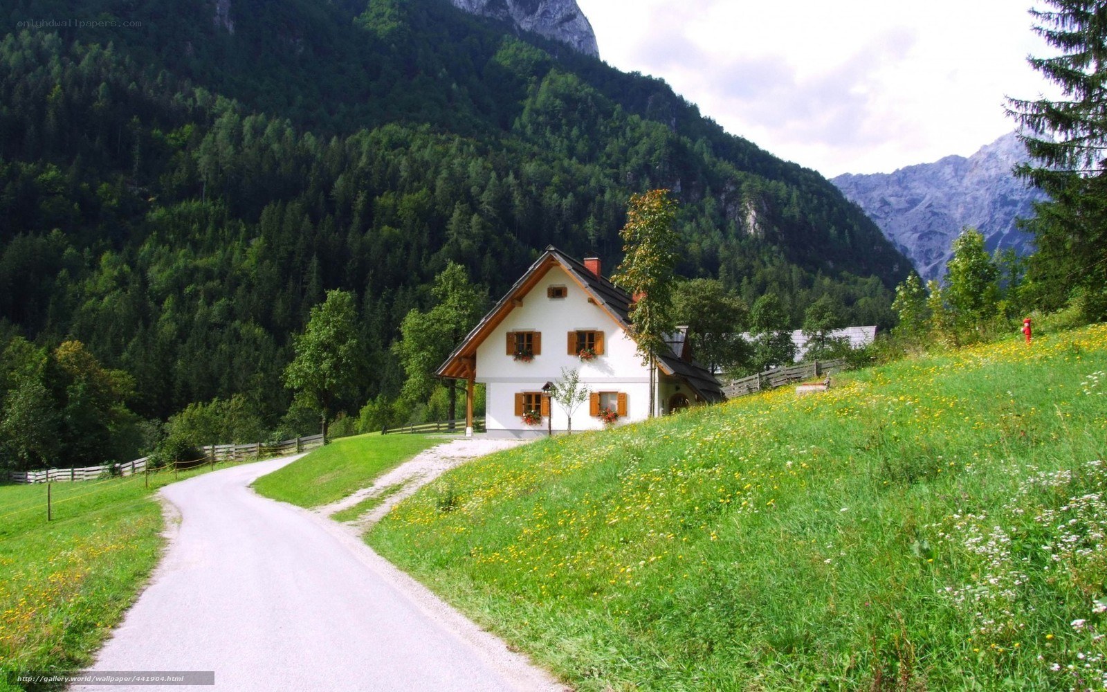 Mountain cottage in a green valley