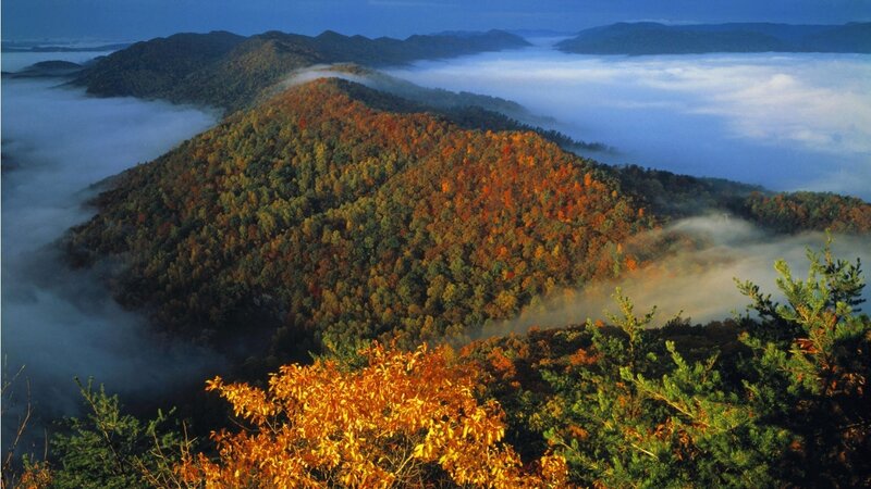 Mountain Covered in Autumn Trees