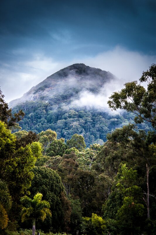 Mountain Covered in Fog — Green, Dramatic