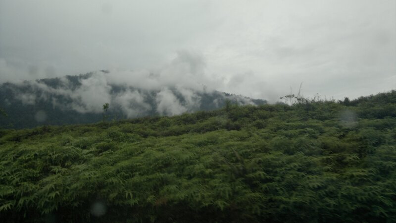 Mountain Covered in Fog — Green