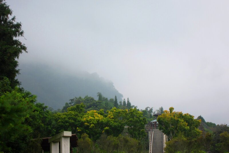 Mountain Covered in Fog