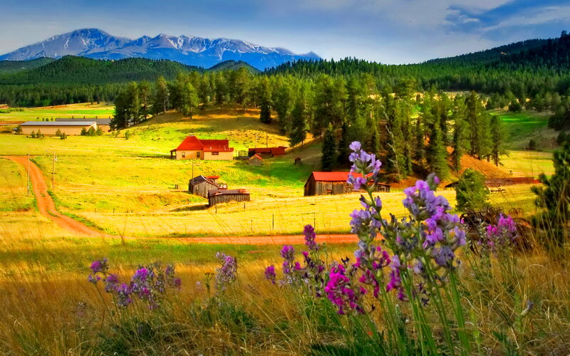 Mountain Farm Landscape