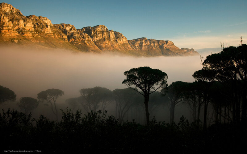 Mountain fog at sunrise