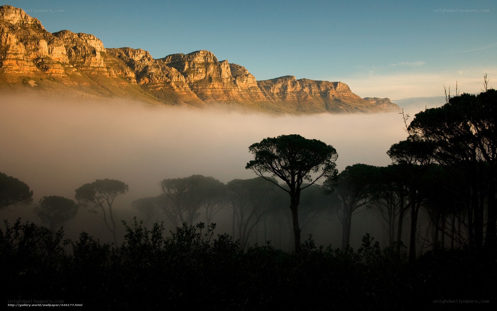Mountain fog at sunrise